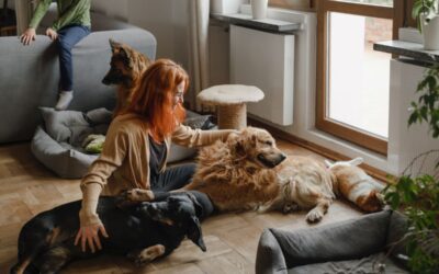 Estate Planning for Pets