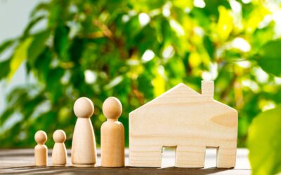 How Often Should I Update My Estate Plan?